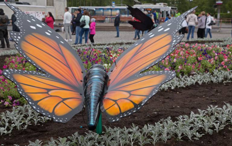 Schmetterling im Park